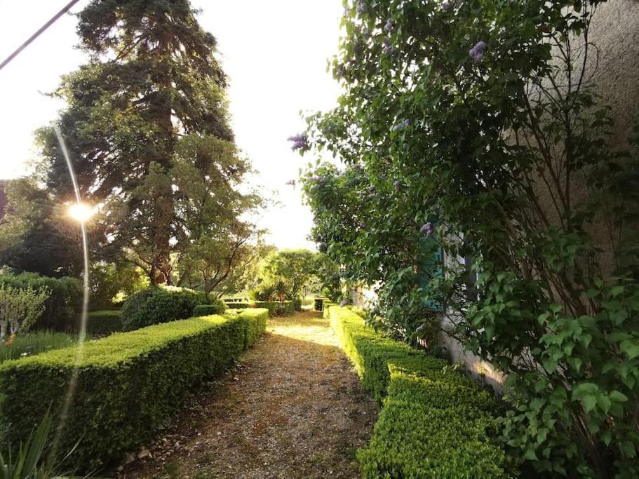 Appartamento Charmant Studio Avec Jardin A La Campagne Sur Le Chemin De Saint Jacques De Compostelle Lauzerte Esterno foto