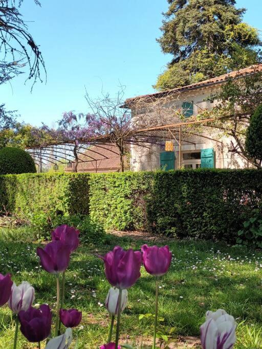 Appartamento Charmant Studio Avec Jardin A La Campagne Sur Le Chemin De Saint Jacques De Compostelle Lauzerte Esterno foto